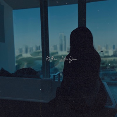 Nothin' Like You - Single