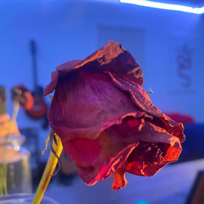 Tu Me Hiciste Así - Single