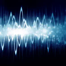 收听 Alchemilla、观看音乐视频、阅读小传、查看巡演日期等 ！