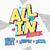 All In (Fender Acoustic) artwork