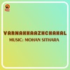 Varnakkaazhchakal (Original Motion Picture Soundtrack)