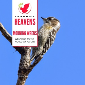 Small Birds at Dawn