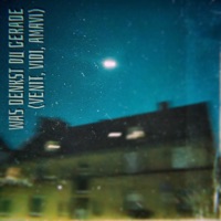 Was denkst du gerade? (venit, vidi, amavi) - Single - Stylerwack