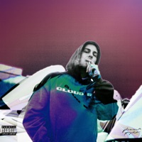 PLEASANT PSYCHO - Acidfrank