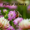 Pinup Honey