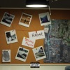 Radar - Single