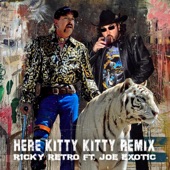 Here Kitty Kitty Remix (feat. Joe Exotic) artwork