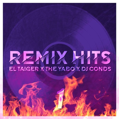 Remix Hits 1 - Single