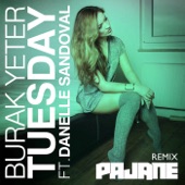 Tuesday (feat. Danelle Sandoval) [PAJANE Remix / Extended Mix] artwork