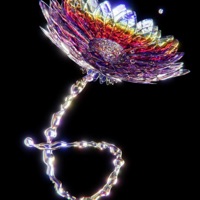 Workin (feat. Soulbaby) - Single - souljadarkness