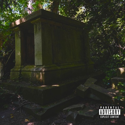 Temple (feat. Taeo) - Single