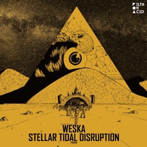 Stellar Tidal Disruption - EP