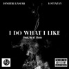 I Do What I Like (feat. LottaZay) - Single