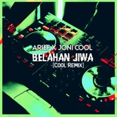 Belahan Jiwa (Cool Remix) artwork