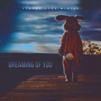 Dreaming of You - Single - NOHXRT & WINTERONTHEBEAT