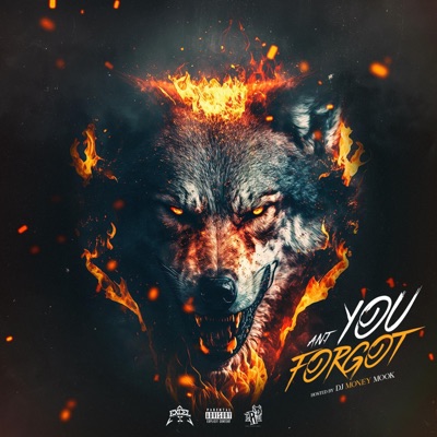 You Forgot?(DJ Money Mook version)