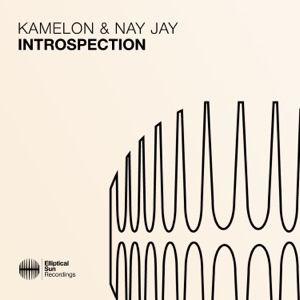 Introspection - Single