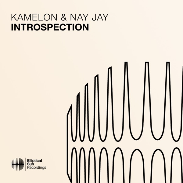 Introspection - Single