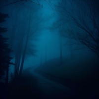 Wonder - Single - Coste