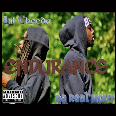 Endurance (feat. Lil Cheeda) - Single