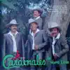 Cardenales de Nuevo León - Amor Chiquito