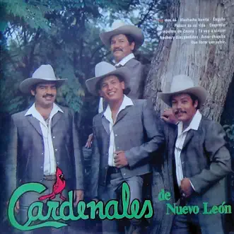 Amor Chiquito by Cardenales de Nuevo León song reviws