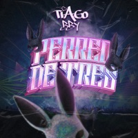Perreo de Tres - Single - Tiago BBY