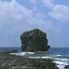 Taipei Philharmonic Orchestra을(를) 듣고, 뮤직 비디오를 보고, 약력을 읽고, 투어 일정 등을 확인하세요!