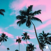 Heading to the Coast - Single - BestPaul