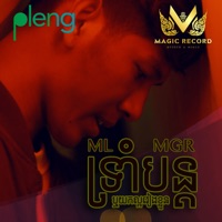 ទ្រាំបន្តឬយកល្អរៀងខ្លួន - Single - ML MGR