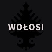 Wołosi artwork
