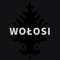 Wołosi - Zakopower & Ralph Kaminski lyrics