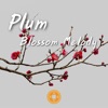 Chinese Music, Plum Blossom Melody