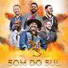 Grupo Som do Sul - Vaneiras do Sul