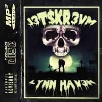 Lynn Hav3n - J3TSKR3VM