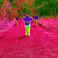 Where is Jay - OTM Jay