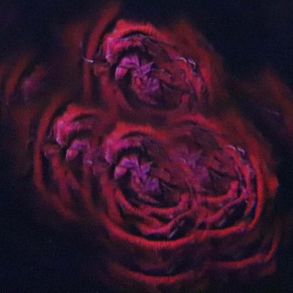 Not What You Expected (Plaid Remix) - Single