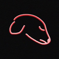 Hachikō (Slowed + Reverb) - Single - tuv