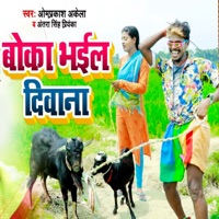 Boka Bhail Divana - Single - Antra Singh Priyanka & Omprakash Akela