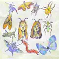 FRUIT FLIES