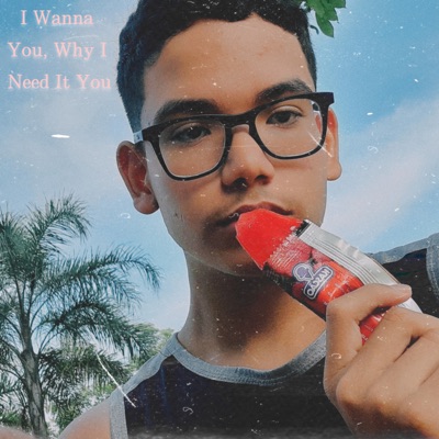 I Wanna You Why I Need It You - Single