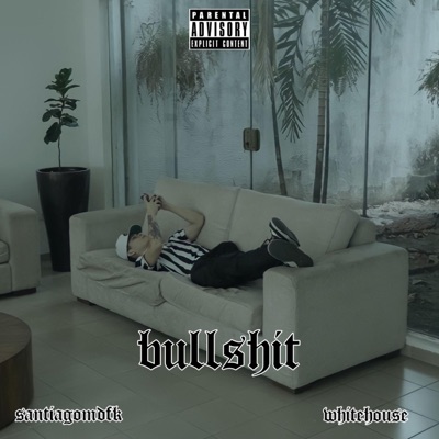 Bullshit - Single