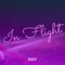In Flight - Ruglit lyrics