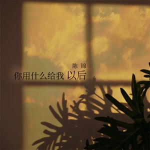 你用什么给我以后 - Single