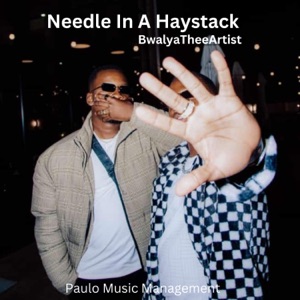 Needle In a Haystack - EP