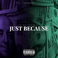 Just Because - Single - Skitz Colione 500