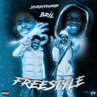 Freestyle (feat. Bril) - Single - Sturdyyoungin