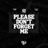 Please Don't Forget Me - Single