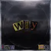 Stream & download Why? (feat. IgNa) [Remix] - Single