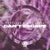 Stream & download Can't Escape - Single